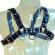 Leather Body Chest Bulldog Harness BLACK/BLUE Leather