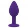 Intense Shelki S Plug Anal Purple