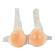 Strap On Silicone Breasts 800g