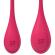 Satisfyer Yoni Power 1 Training Set - Red