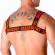 Macho Red Harness