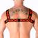 Macho Red Harness