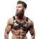 Fetish Submissive Attitude - Bulldog Crossed Chest Harness Adjustable Neoprene With Zippers Men