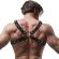 Fetish Submissive Attitude - Bulldog Chest Harness Eco Leather Men Size M/L