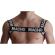 Macho - Double Harness Black