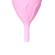 Femintimate - Eve Silicone Menstrual Cup Size L