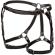 California Exotics - Euphoria Plus Size Riding Thigh Harness