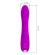 Pretty Love - Regina Rechargeable Vibrator-Sucker Purple