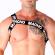 Macho - Roman Harness White