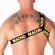 Macho - Roman Harness Yellow