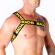 Macho - Roman Harness Yellow