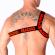 Macho - Roman Harness Red