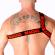 Macho - Roman Harness Red