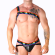 Macho - Roman Harness Pride