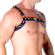 Macho - Roman Harness Pride