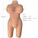 Armony - Realistic Female Torso Model 6