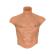 Hidden Desire - Alter Ego Silicone Male Torso Shirt With Abs Flesh