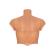 Hidden Desire - Alter Ego Silicone Male Torso Shirt With Abs Flesh