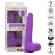 Calexotics - Studs Rechargeable and Rotating Vibrator 10 Vibrations Purple