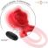 Intense - Gail Stimulator Rose 10 Vibrations Red Remote Control