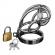 Captus Stainless Steel Locking Chastity Cage